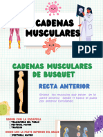 Cadenas Musculares