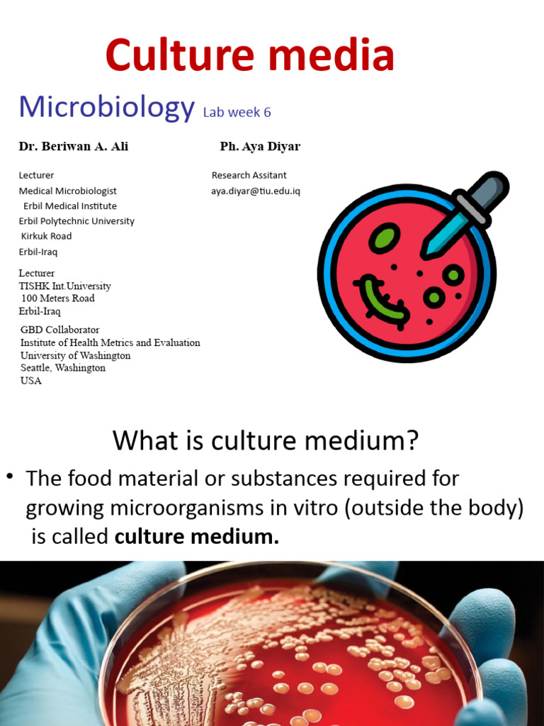 Week 6 Culture Media Update | PDF | Growth Medium | Bacteria