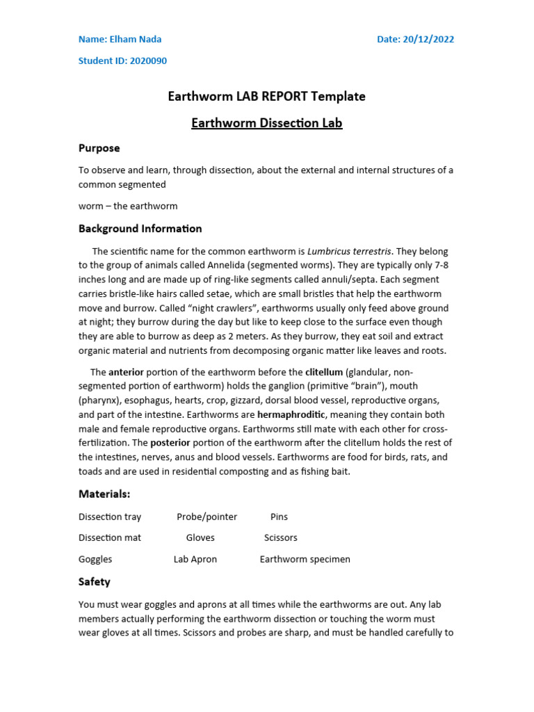 Earthworm LAB REPORT PDF Nervous System Anatomy
