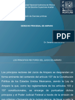 Derecho Procesal de Amparo Unidad 3