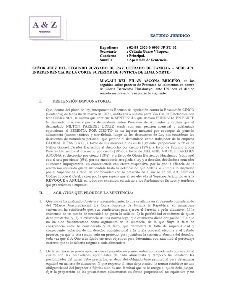 Apelacion de Sentencia de Prorrateo de Alimentos - Magali Ascona | PDF