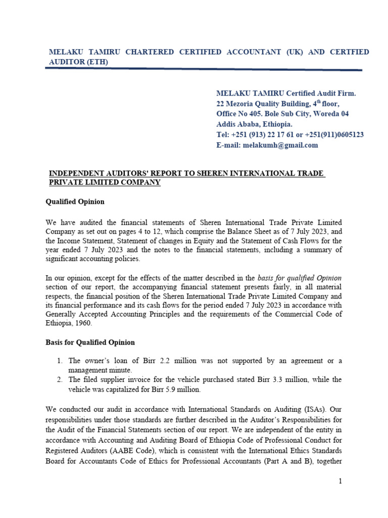 Audit Opinion Pdf Financial Audit Going Concern