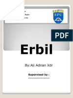 Erbil ALI