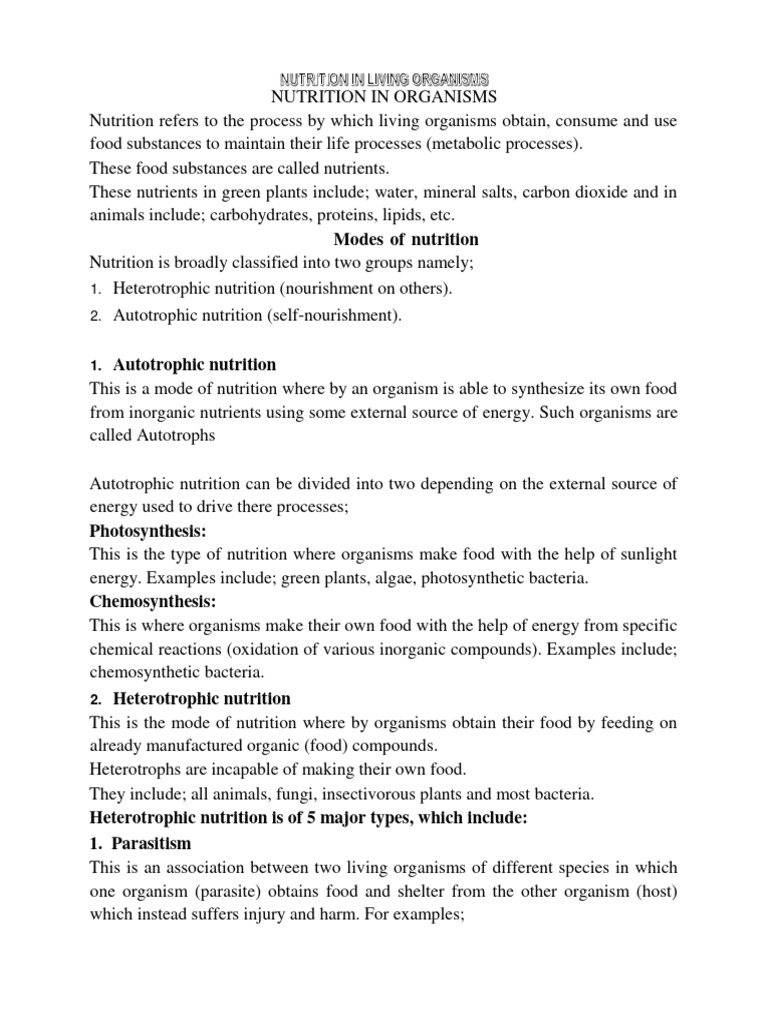 s.2 Biology Notes Nutrition | PDF | Digestion | Nutrition