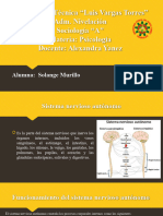 Sistema Nervioso Autónomo