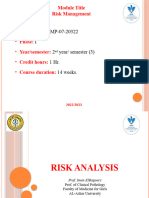 L4 Risk Analysis Power Point