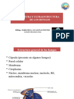 Estructura Y Ultraestructura de Los Hongos: Bmblga. Marianella H. Salinas Fuentes