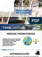 Diapositiva Dererecho Probatorio