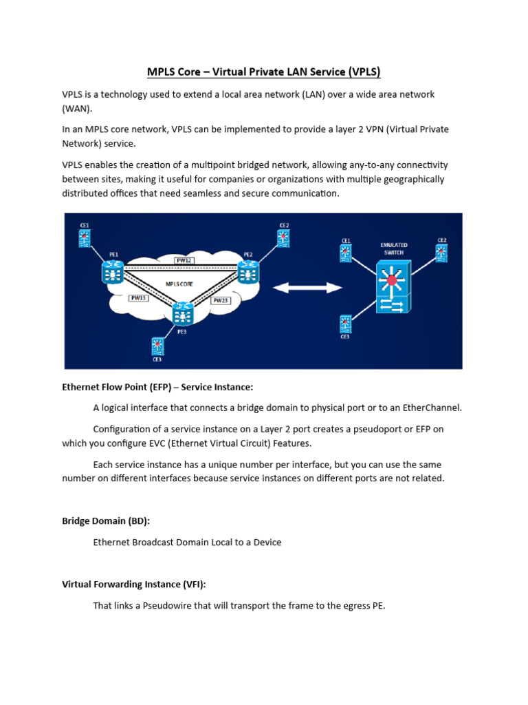Mpls core virtual private lan service vpls ethernet flow point