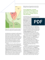 Apomixis Molecular Life of Plants