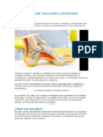 Anatomía Del Pie