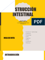 Obstrucción Intestinal