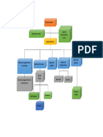 Organigrama Tarea Introcuccion