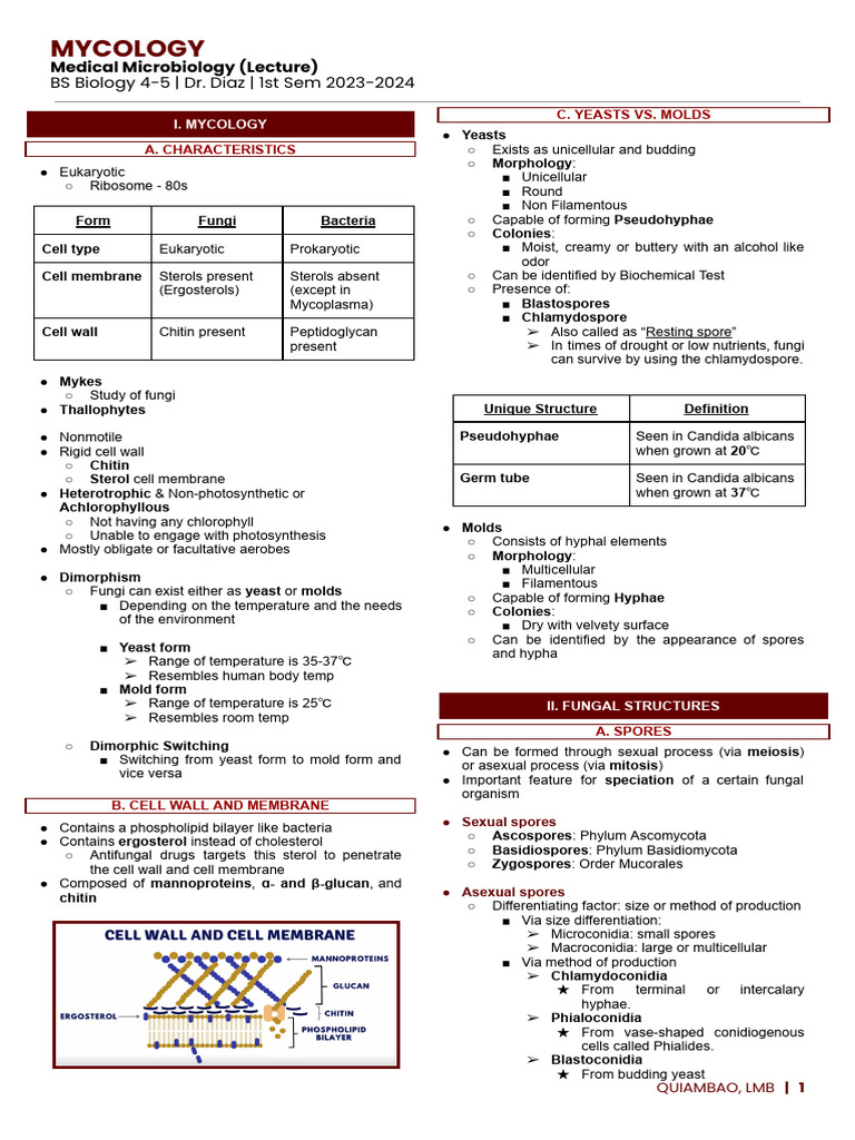 Mycology Overview and Key Concepts | PDF | Fungus | Mycology
