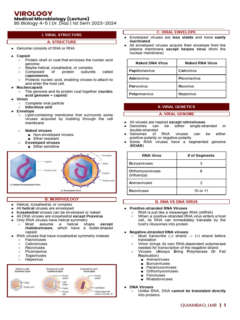 Virology Dna Rna Covid 19 Pdf Virus Sense Molecular Biology