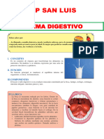 Sistema Digestivo