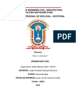 Relieve Continental Ribeiro Mamani Jorge Xavier 2021-130019