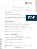 Formato Capacidad Financiera Proveedor