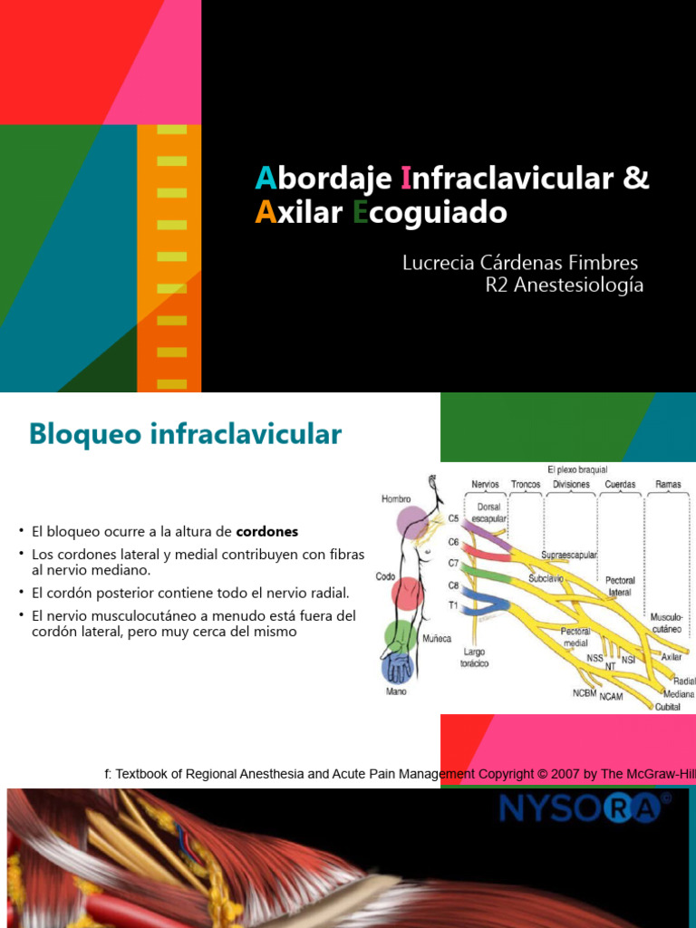 Abordaje Infraclavicular 0 Axilar Ecoguiado | PDF | Anatomía humana ...