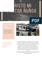 Newsletter Plantación CMP Ñuñoa