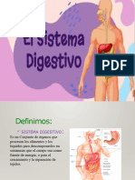 Sistema Digestivo (Revisado)