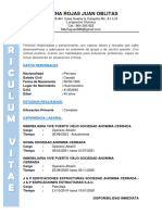 Curriculum Vitae Ayudante