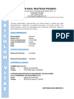 Curriculum Vitae