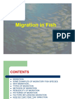 Fish Migration