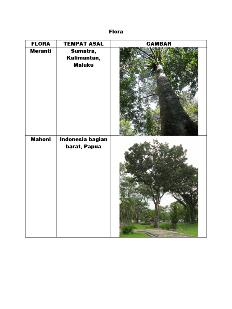 Flora dan Fauna Indonesia | PDF