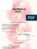 Desarrollo Fetal 