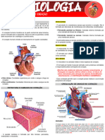 Anatomia e Fisiologia Cardíaca