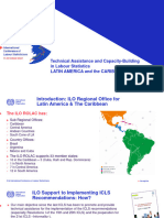 Technical Assistance and Capacity-Building in Labour Statistics - LATIN AMERICA and The CARIBBEAN