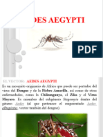 Aedes Aegypti - Dengue, Zika y Chikungunya