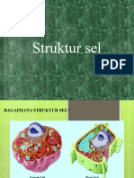 Struktur Dan Fungsi Sel