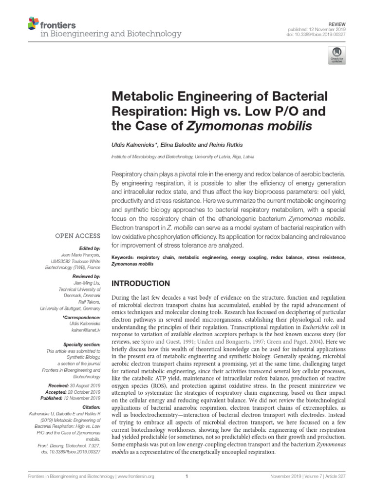 Ingeniería Metabólica PDF Cellular Respiration Electron Transport