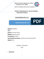 Informe de Practica Quispe - Rivera Sonali