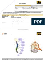 Semana 15 - Guía de Práctica de Laboratorio