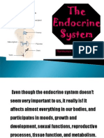 The Endocrine System!