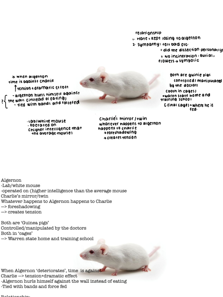 Flowers For Algernon PDF