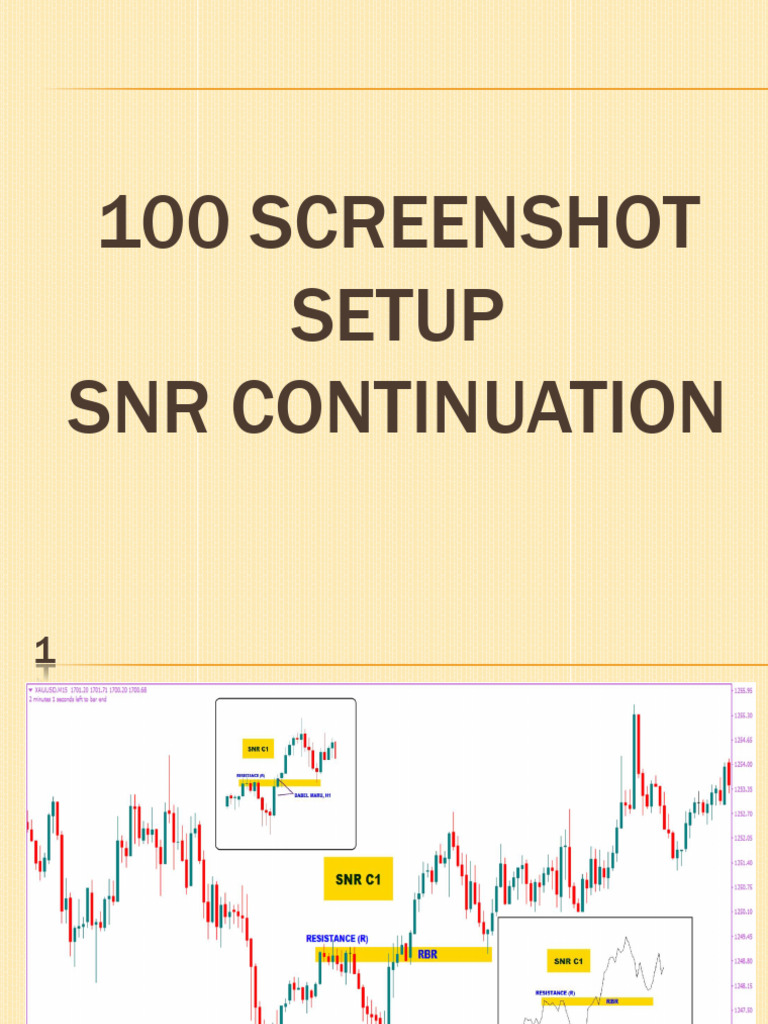 100 Screenshot Setup SNR Continuation | PDF
