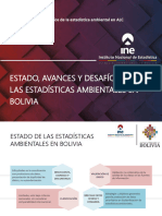 Estado Avances y Desafios EA-INE Bolivia