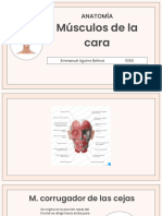 Musculos de La Caraaa