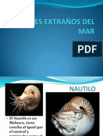 Animales Extraños Del Mar