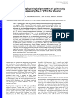 2003 Sensory and electrophysiological properties of guinea‐pig sensory neurones expressing Nav 1.7 (PN1) Na+ channel α subunit protein