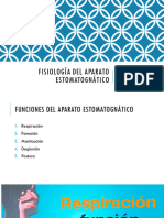 Fisiología Del Aparato Estomatognático