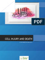 17-5 Cell Injury and Death