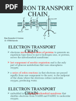 Electron Transport Chain