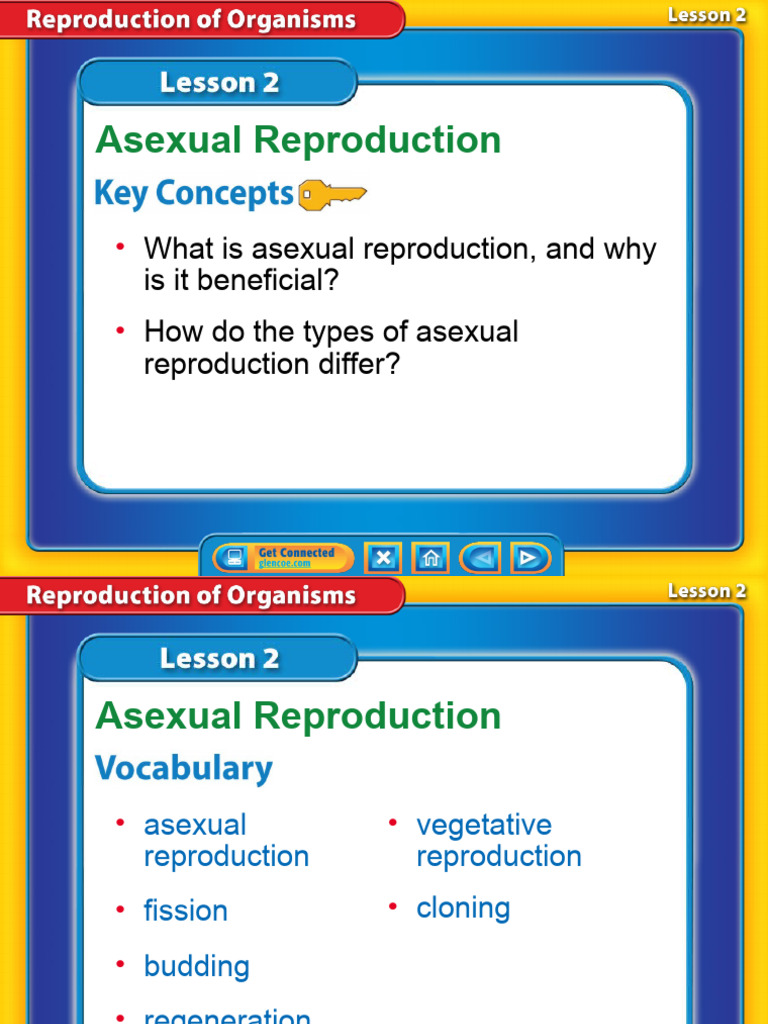 Asexual Reproduction Explained | PDF | Sexual Reproduction | Mitosis