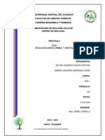 Informe Biologia Practica4 BF1-003