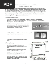 Exit Bag